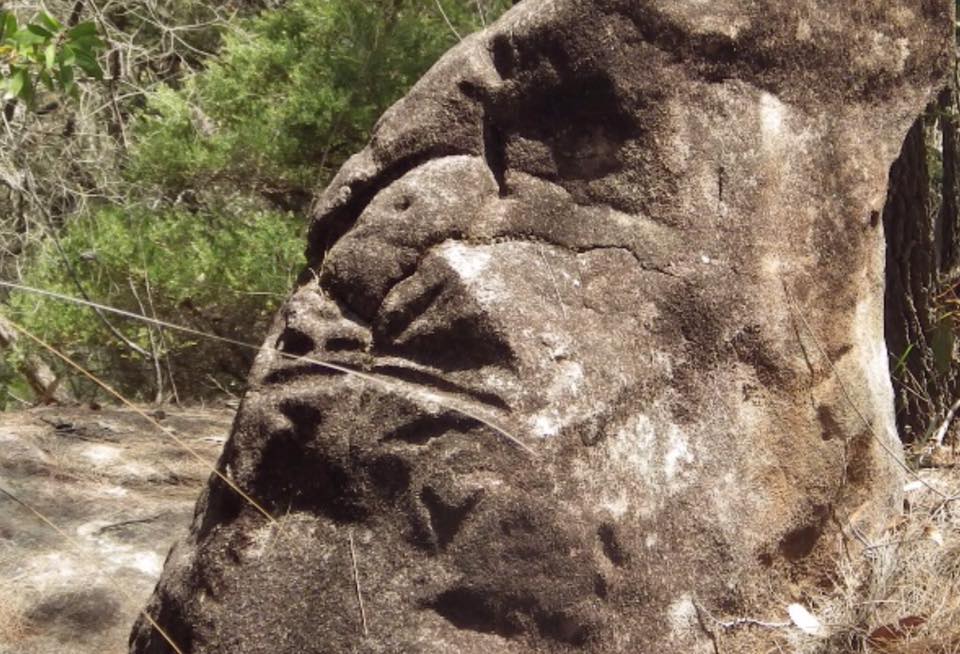 17904313_1245061098941049_3626612001897577183_n