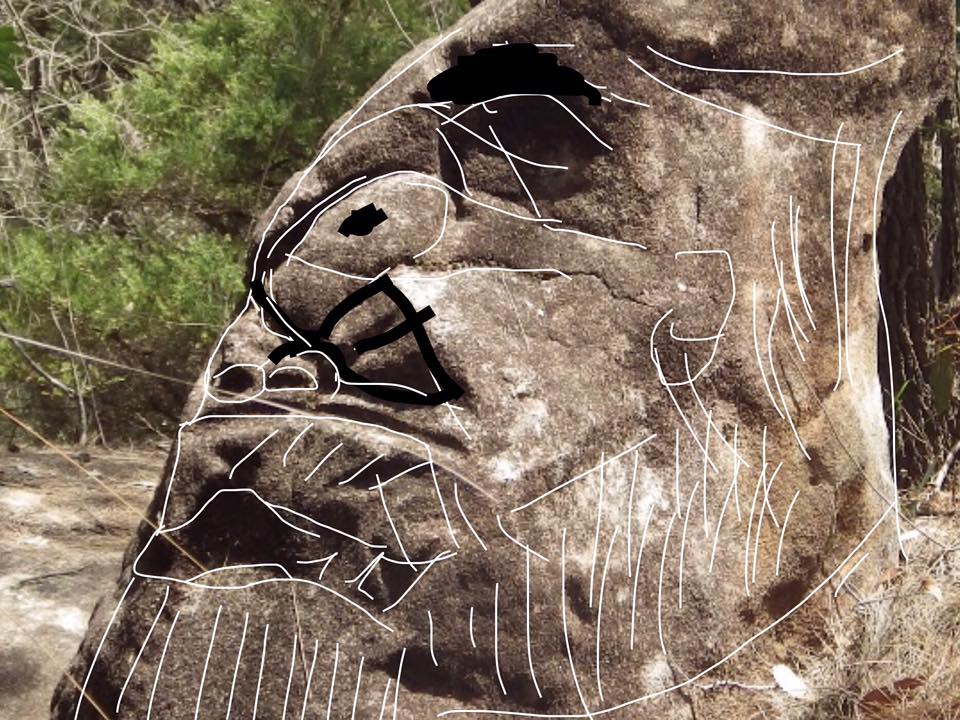 17952847_1244979488949210_5801869670042874481_n